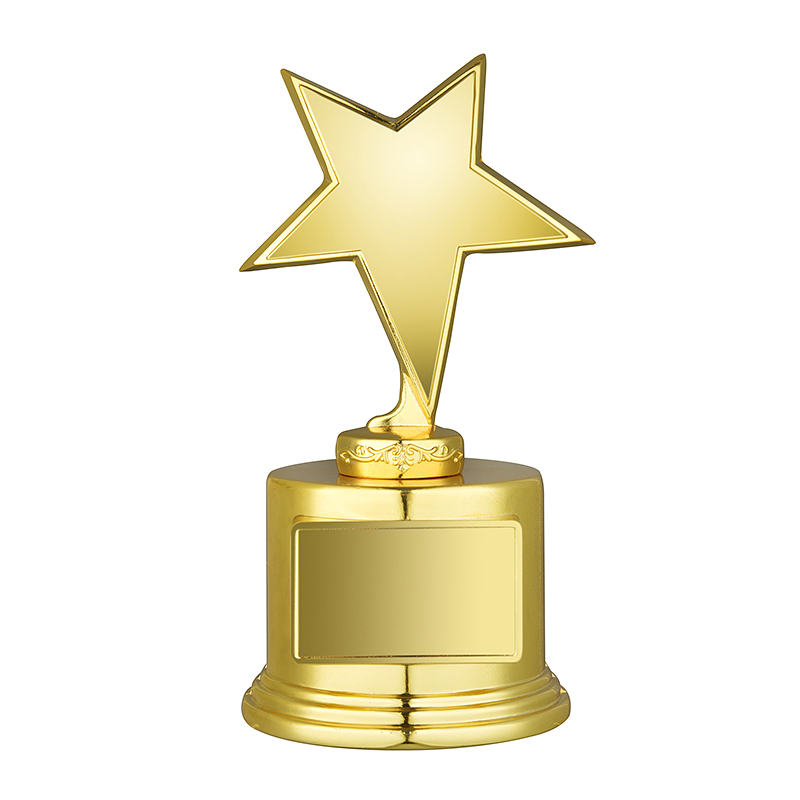 Die-cast Metal Trophy DCMT01  175mm/7'' with Gift Box